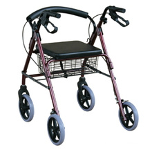 Medical Rollator & Walker